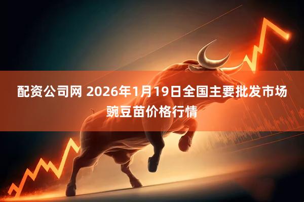 配资公司网 2026年1月19日全国主要批发市场豌豆苗价格行情