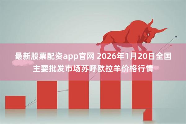 最新股票配资app官网 2026年1月20日全国主要批发市场苏呼欧拉羊价格行情
