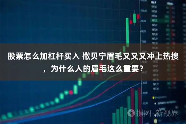 股票怎么加杠杆买入 撒贝宁眉毛又又又冲上热搜，为什么人的眉毛这么重要？